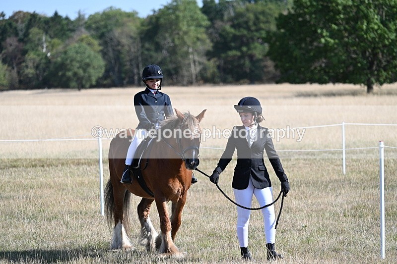 WJ7_3082 - Class 8 Ridden Tack & Turnout