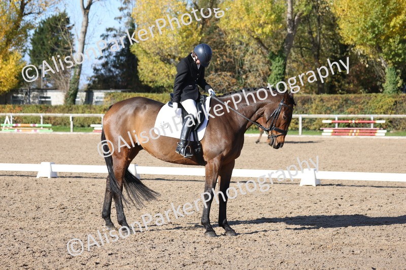 20251102-0893 - Class 5 - Elementary 5