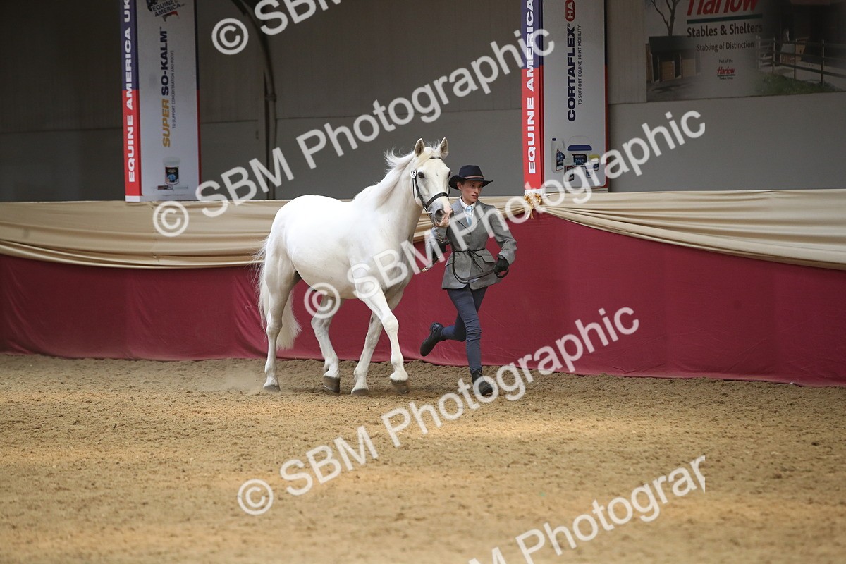 SBM_05559 - Class 9R - Regional IH Pre-Vet