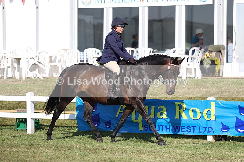 3E7A5476 - Class 2: Rising Star Large Hack/Riding Horse