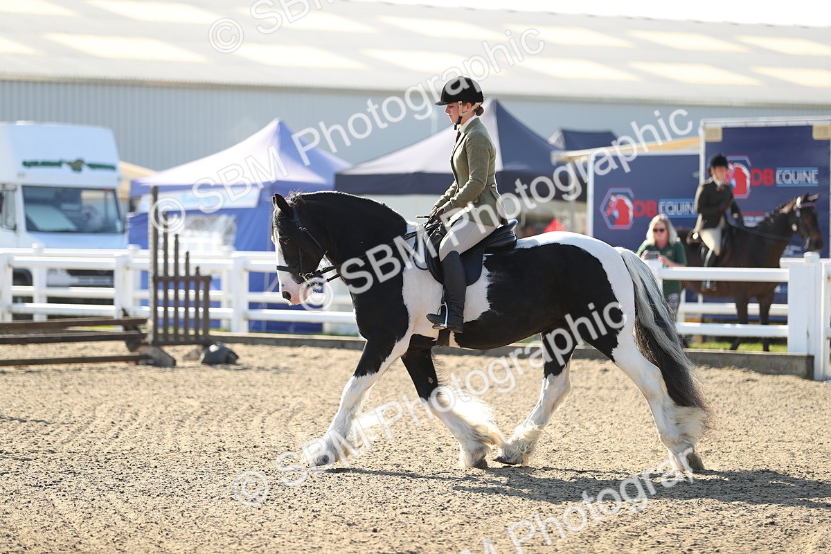 SBM_01175 - Class 42 Ridden Veteran