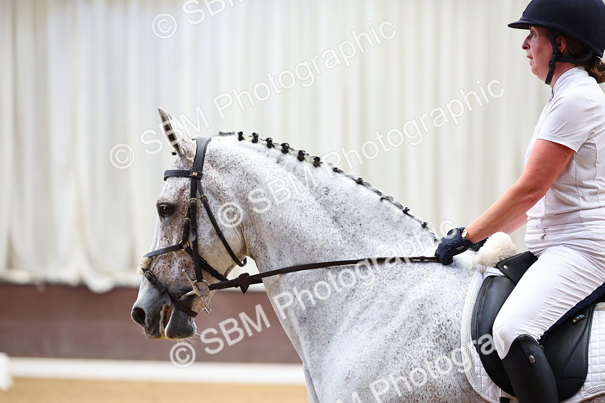 SBM_005500 - Elementary 2