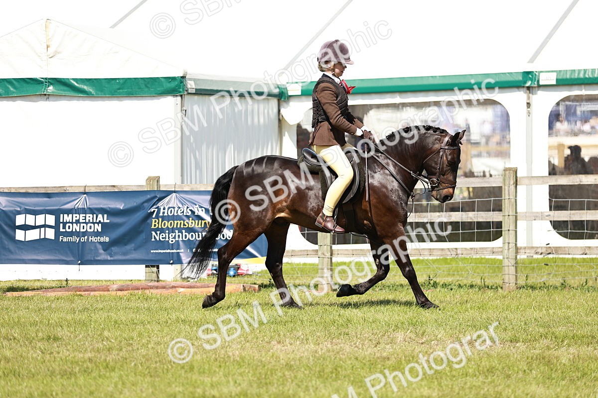 SBM_17680 - Class 112-113 - BSPS LIHS Working Sports Pony