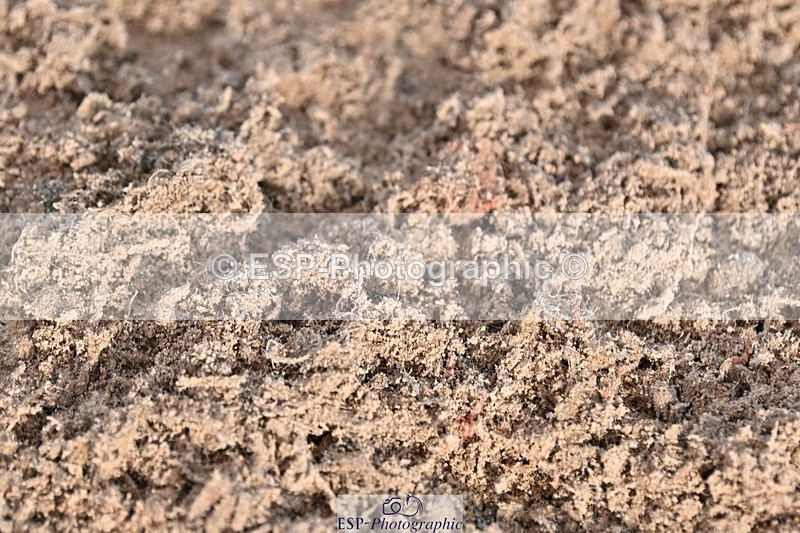 241120X-124310-00470 - Cls 04A&B Snr Newc & 110 Open