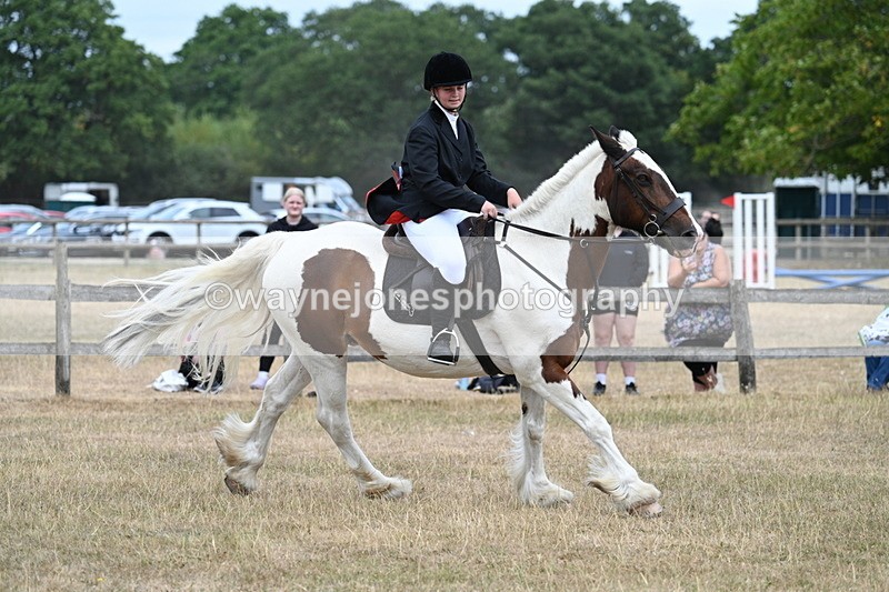 WJ7_1386 - Class 8 Ridden Veterans