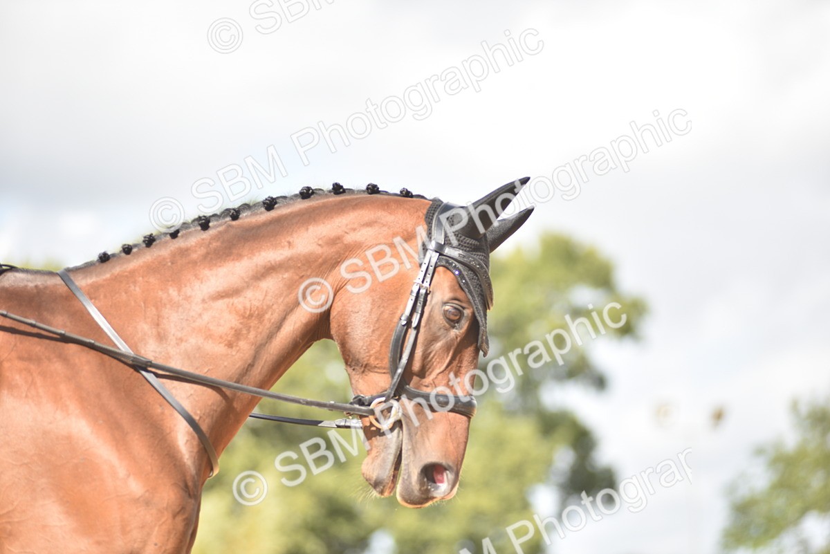 SBM_03409 - D4 - Small Tour Championship Intro 4
