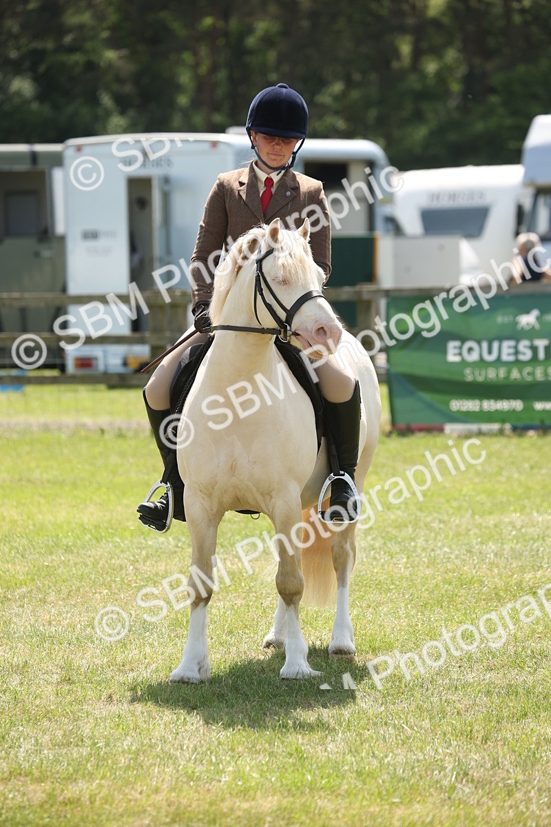 SBM_06990 - Class 26-30 - Mountain and Moorland Ridden