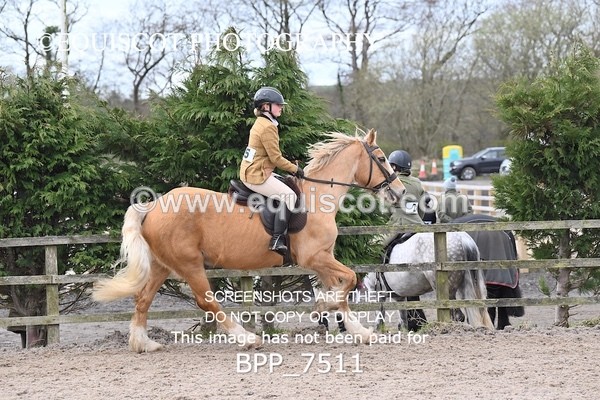 BPP_7511 - RING 1  (RIDDEN HORSES / IN HAND / VETERAN ETC)