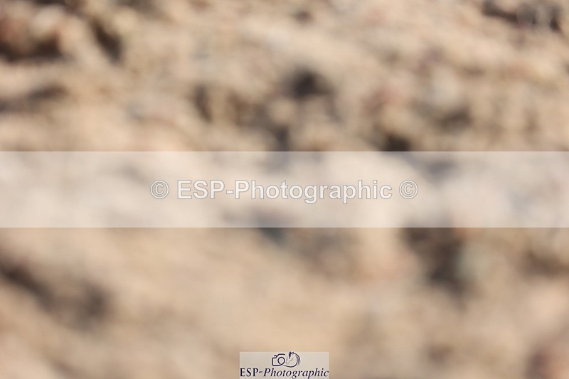 250622-085121-13811 - Cls 44 Prelim 5, Start to 9.20am