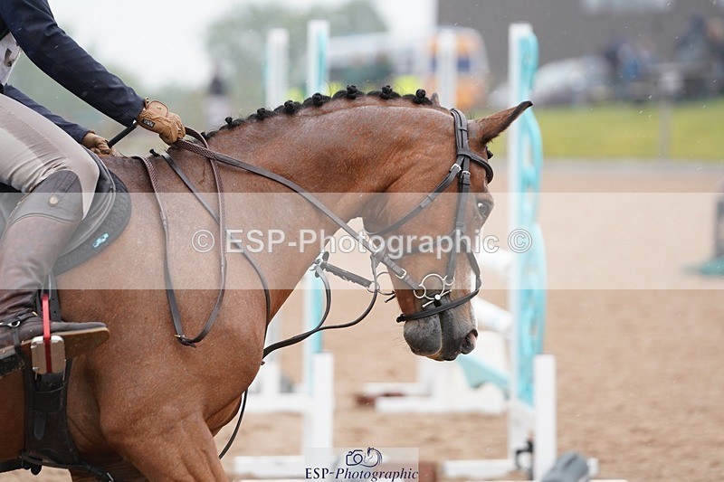 240901A-145938-10219 - 519-Lauren.Collard-DVS.ROCKY