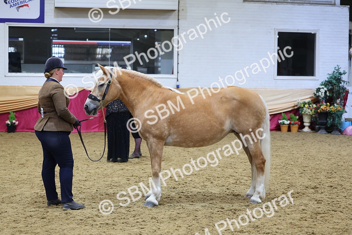 SBM_21068 - Class 902 - Supreme Final IH Veteran