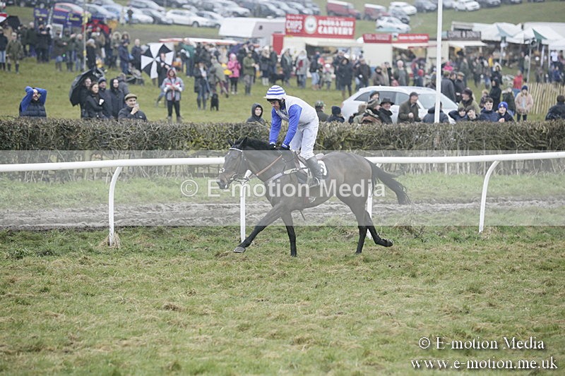 PtP 020418 -326 - Old Berks Point-to-Point Races Easter Monday 02/04/18