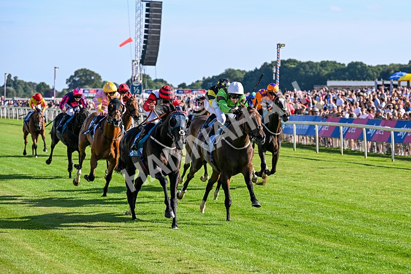 240726-Race 2-Vaguely Royal-5107 - Race 2 18.05pm Elevator Company Handicap