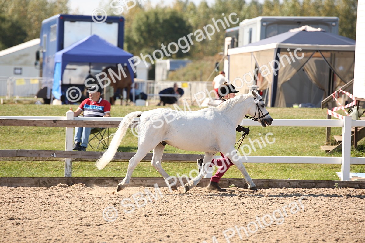 SBM_02665 - Class 16 IH M&M Wildcard