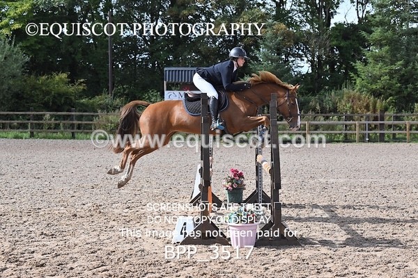 BPP_3517 - CLASS 36 SUN Senior British Novice/ 90cm Open