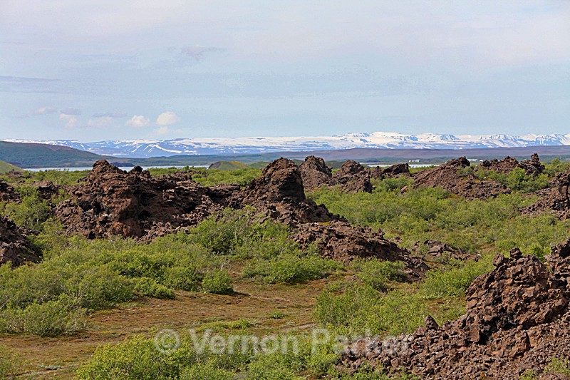 Myvatn, Lava fields - Iceland