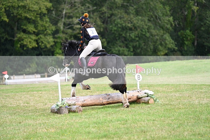 WJ7_8033 - 40cm Time 10:49 to 11:18