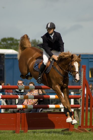 14 - Equestrian Photography