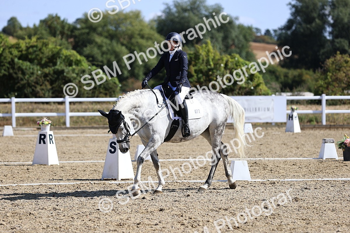 SBM_013129 - Class 2 - P5 Silver  10.03.10.59