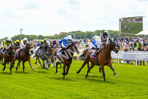 170523-Race 1-Scampi-0195 - Race 1 1.50pm Sky Bet Race To The Ebor Jorvik Handicap