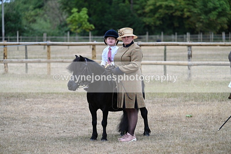 WJ7_8347 - Class 4 Prettiest Mare up to 14.2hh