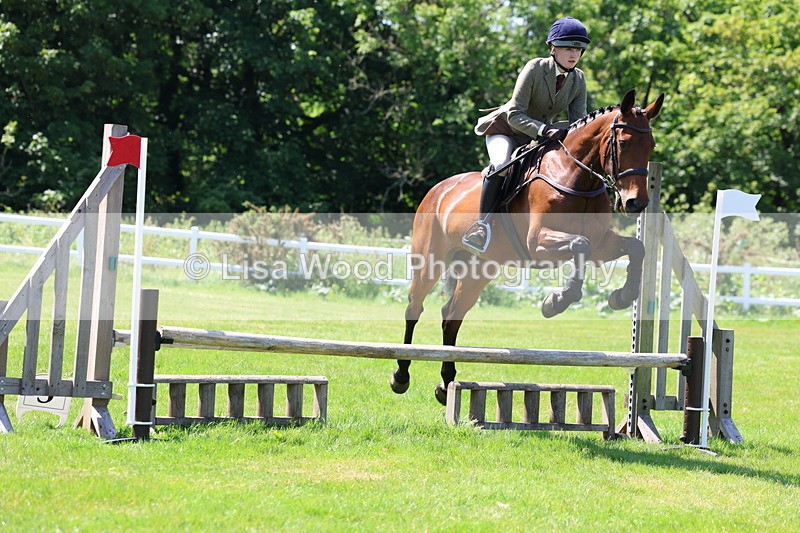 3E7A6974 - Class 30: Novice Working Hunter