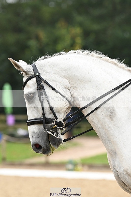 240811-120407-05696 - 135-Beth.Miller-Just.Dave