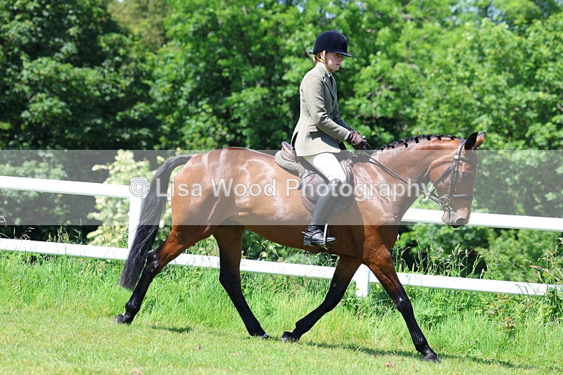 3E7A7160 - Class 30: Novice Working Hunter