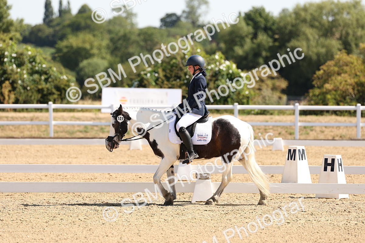 SBM_001045 - Intro 2