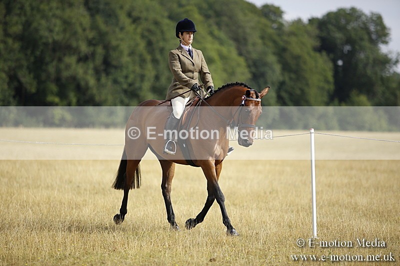 _C7A9265 - BVRC Show 2018 Ring 1