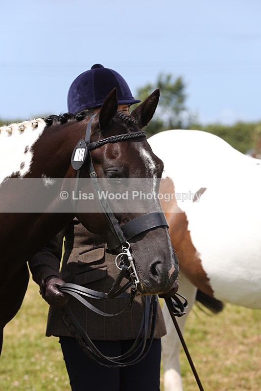 1X9A4789 - Class 35: Veteran In Hand