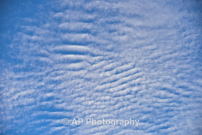 ACP_4749-1 - Clouds