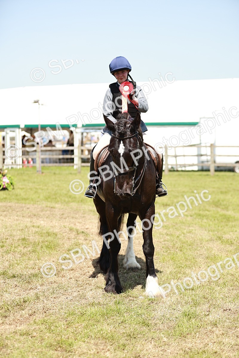 SBM_17376 - Class 110-111 - Training Stakes (70cms 80cms)