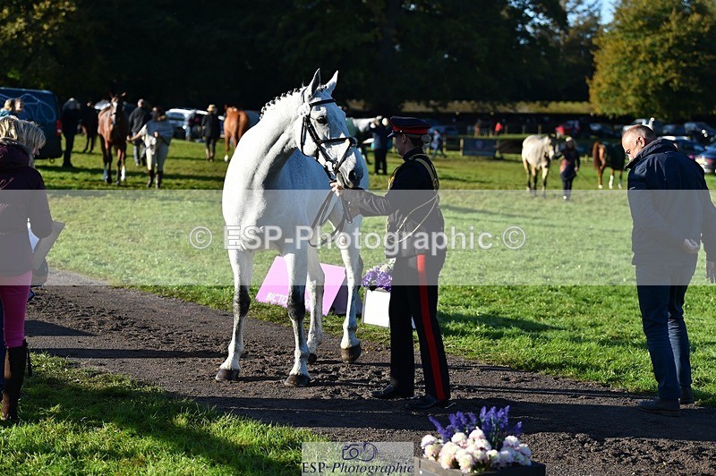 231022-093136-21852 - 688-MCALLISTER-Capt.Amy.Cooper-TrotUp+SJ