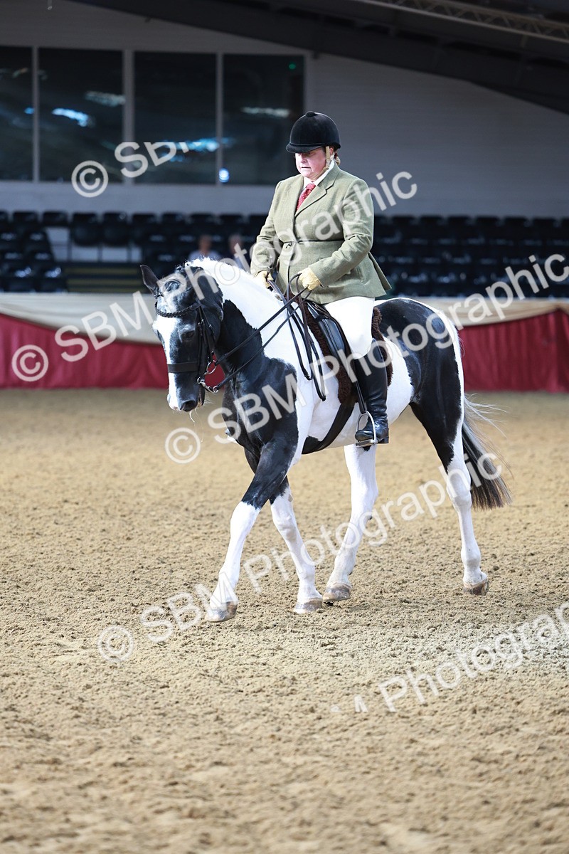 SBM_11851 - Class 102 - Equitation (Best Rider) Adult