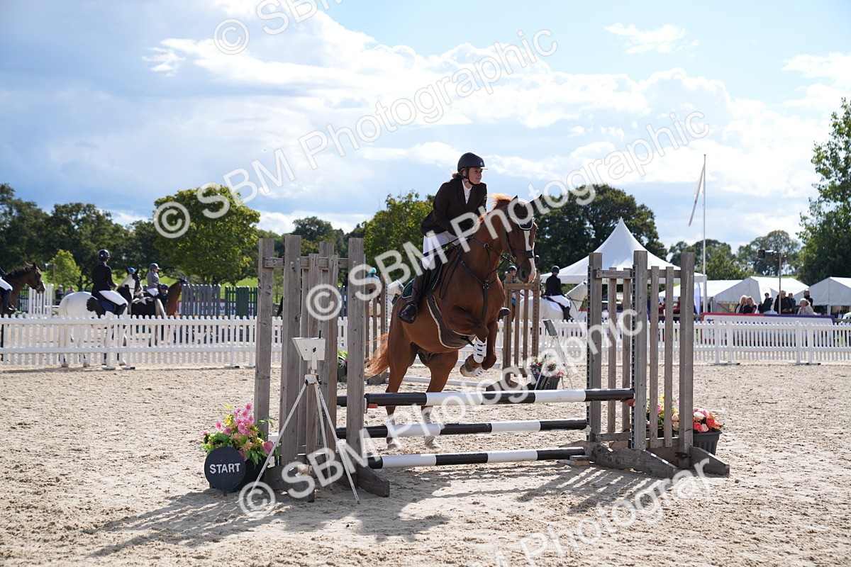 SBM_08551 - J56 Clear Round 70cm