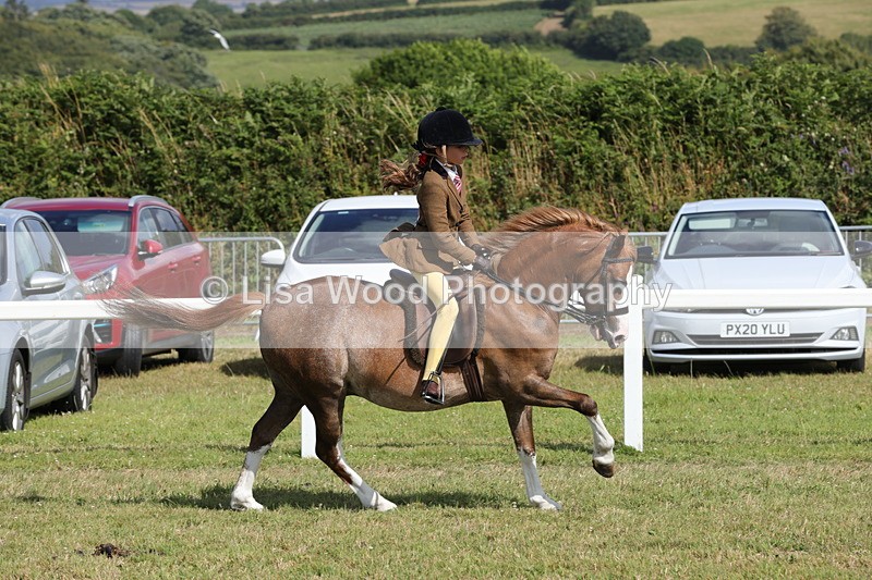 1X9A5677 - Class 40: NPS Welsh A & B