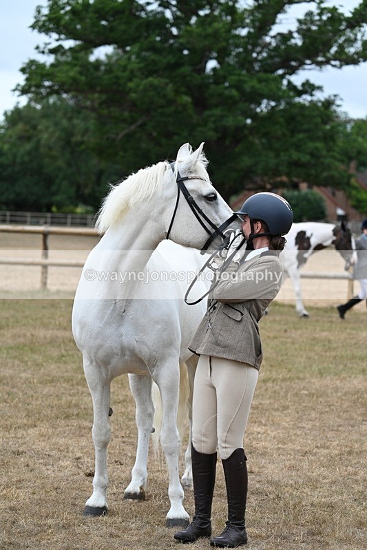 WJ7_9123 - Class 4a Prettiest Mare 14.2hh and over