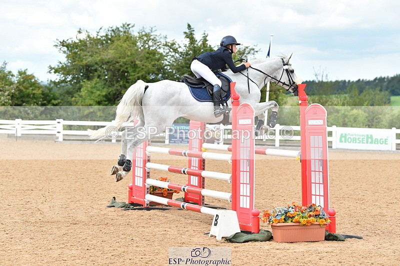 230720A-122904-02560 - Cls 13, 1 Star Bronze 1.10m