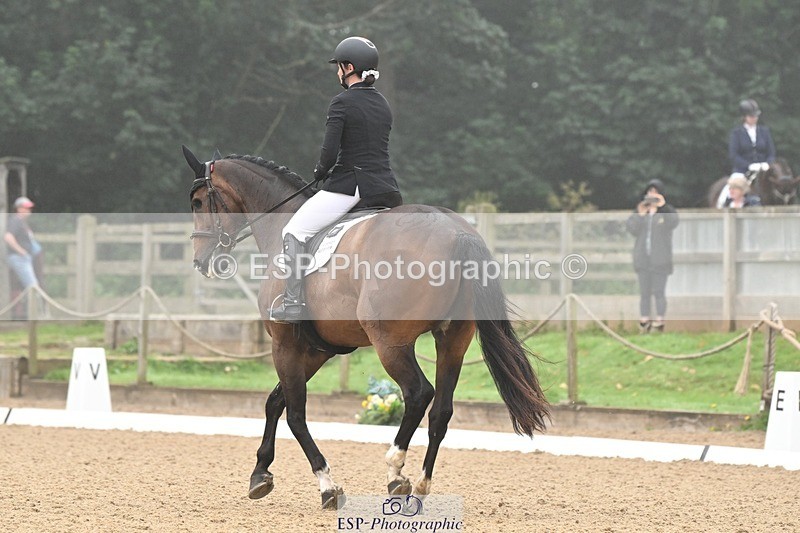 240811-094100-04840 - 119-Alice.Kneen-Dazzling.Springtime