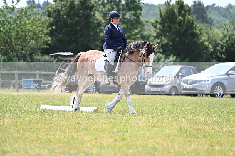 WJ7_8187 - Time 13:35 to 13:40