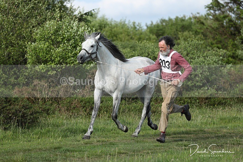 SPXX0153 - Friday vetting