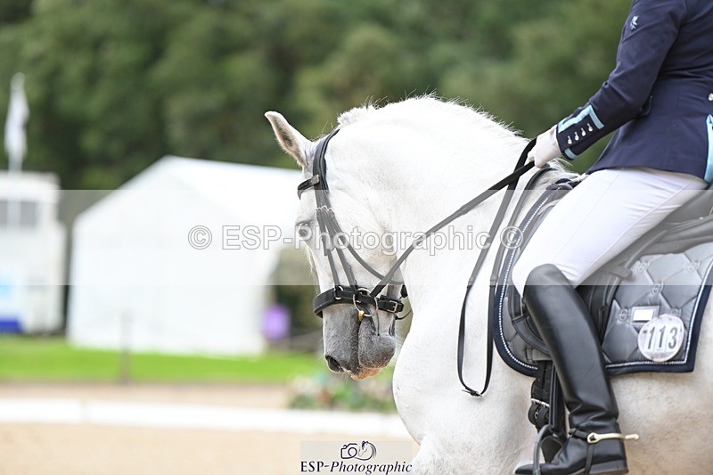 230813-173132-08683 - Cls 14 Medium Silver 16.45 to End