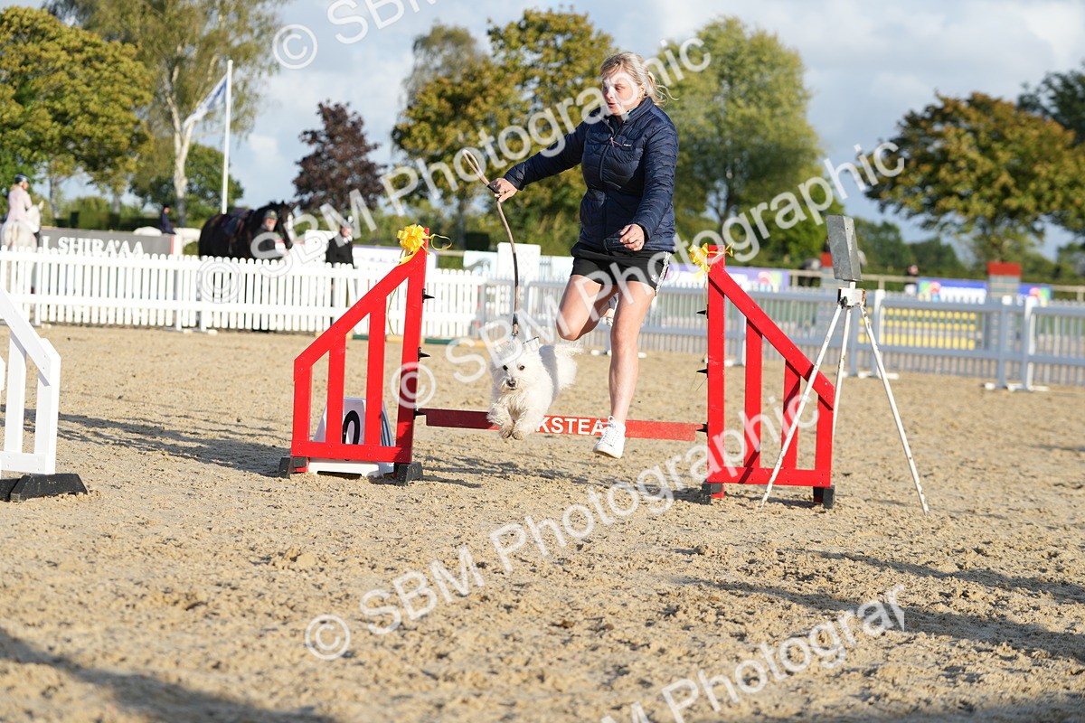 SBM_29423 - J44 - Horse & Hound Open 70cm