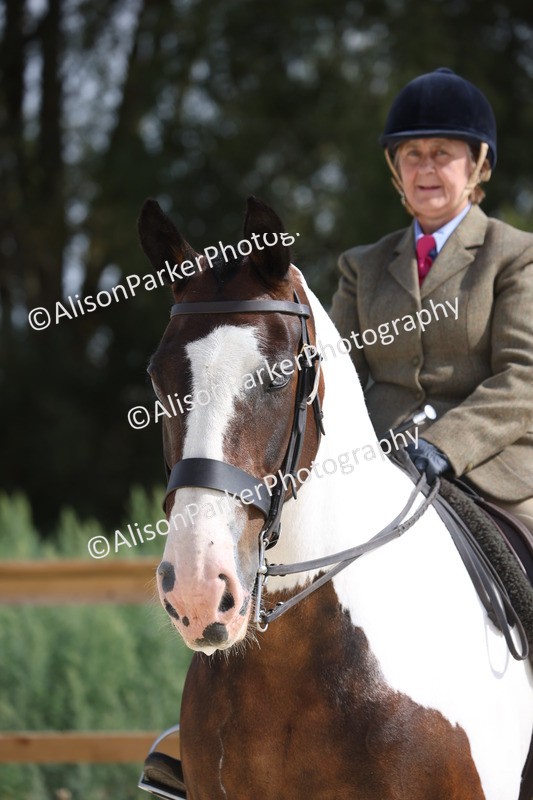 20260802-0490 - Class 6 - Veteran Ridden