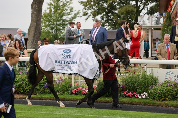 yr20082021r4-3 - Race 4 3.35pm Coolmore Wootton Bassett Nunthorpe Stakes (British Champions Series Race)