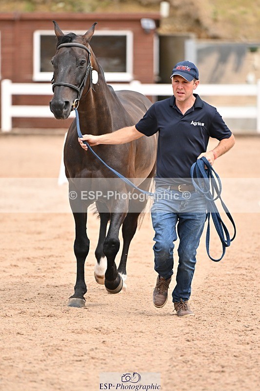 250716-150750-01662 - Trot Up 2.30 to 3.30