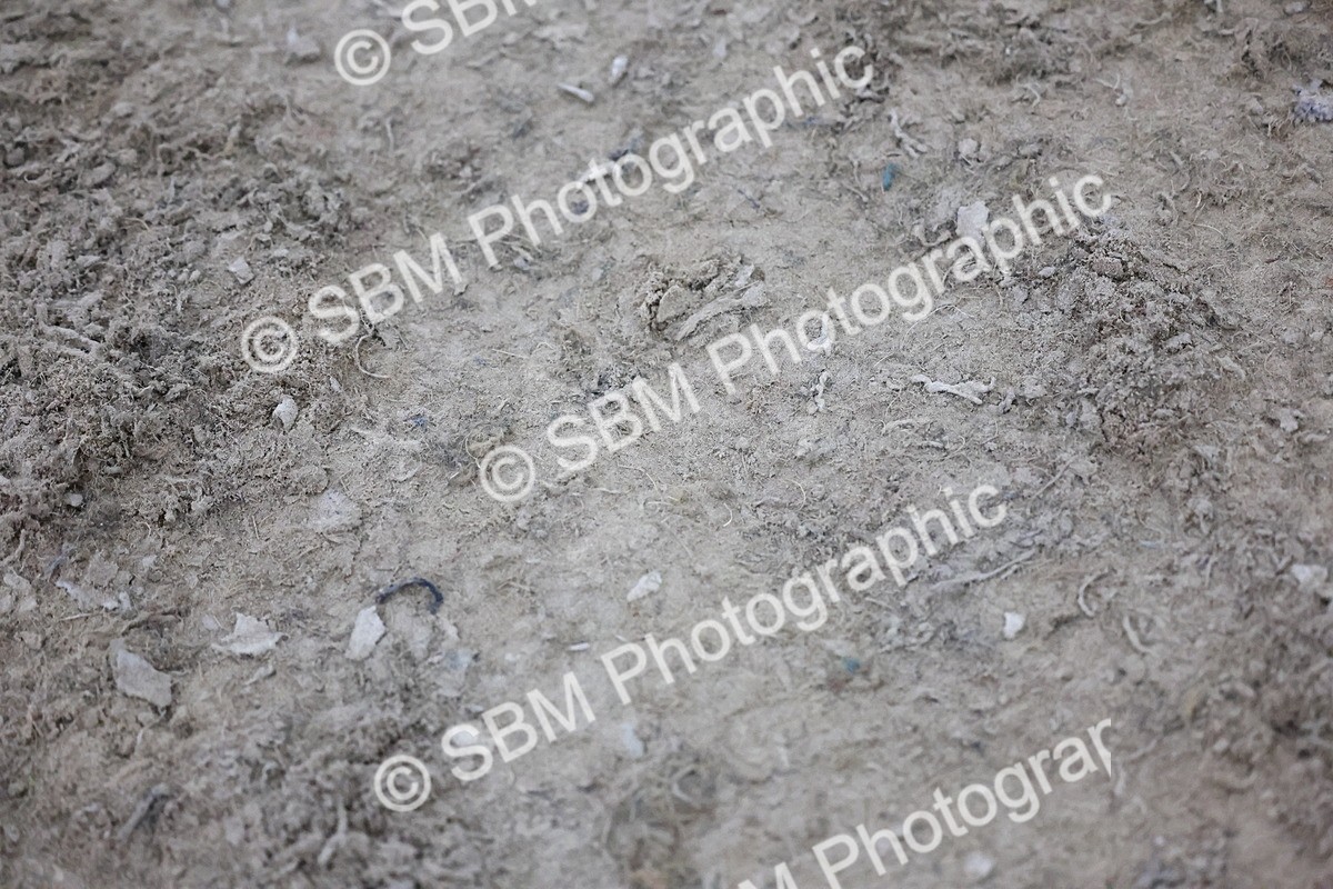 SBM_006102 - Evening Performance