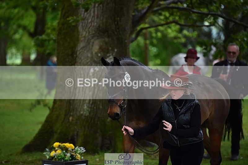 240522-155152-00536 - 164-MOONLIT_SWAYZE-Daisy_Bathe