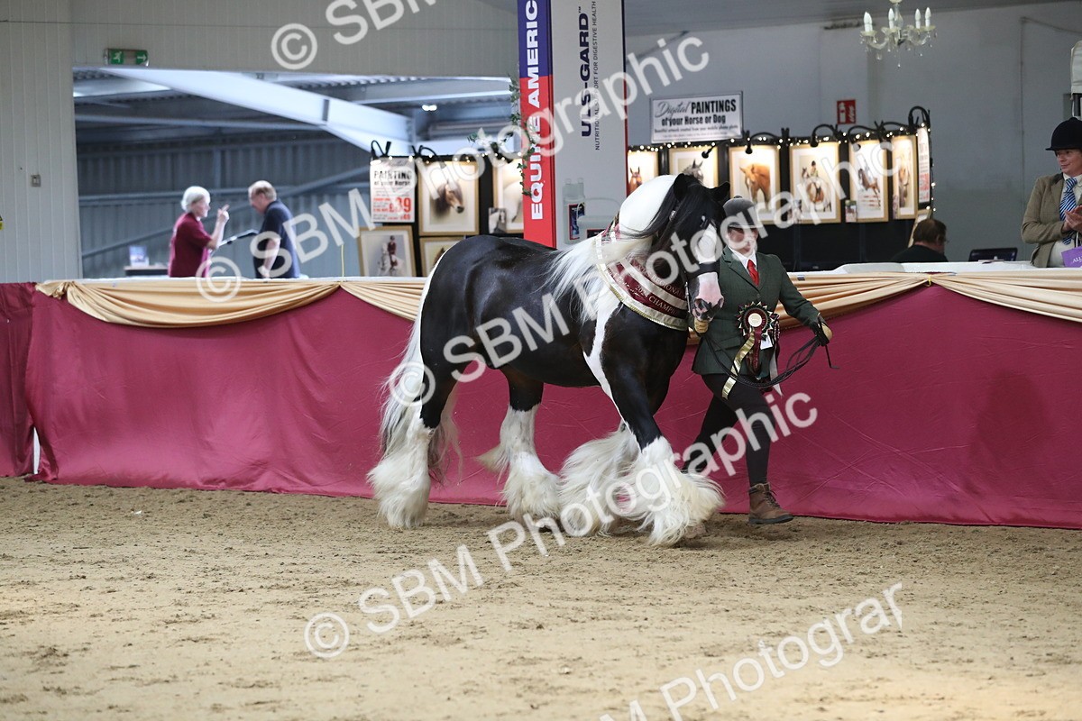 SBM_06608 - Regional IH Champ